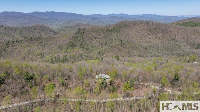 2473 Highland Gap Rd, Scaly Mountain, NC 28775 - photo 49