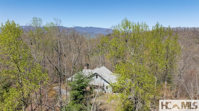2473 Highland Gap Rd, Scaly Mountain, NC 28775 - photo 47