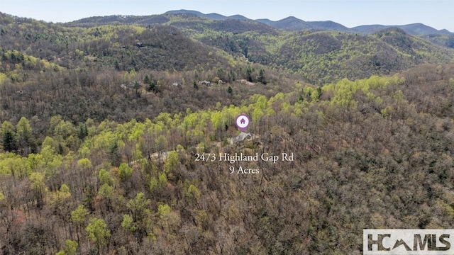 2473 Highland Gap Rd, Scaly Mountain, NC 28775 - photo 55
