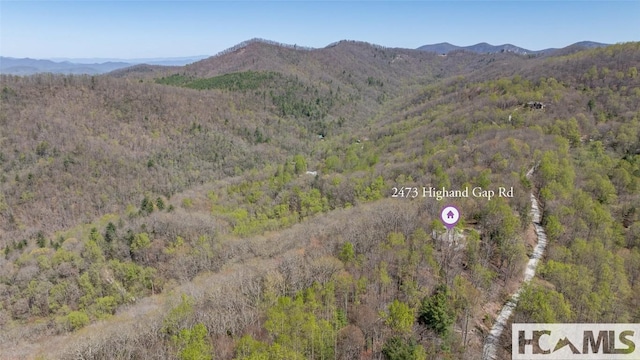 2473 Highland Gap Rd, Scaly Mountain, NC 28775 - photo 50