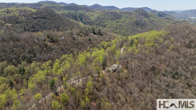 2473 Highland Gap Rd, Scaly Mountain, NC 28775 - photo 56