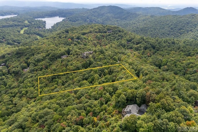 Listing photo 3 for TBD Toxaway Dr, Lake Toxaway NC 28747