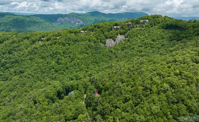 view of mountain feature