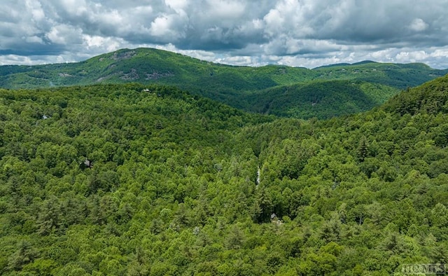 property view of mountains