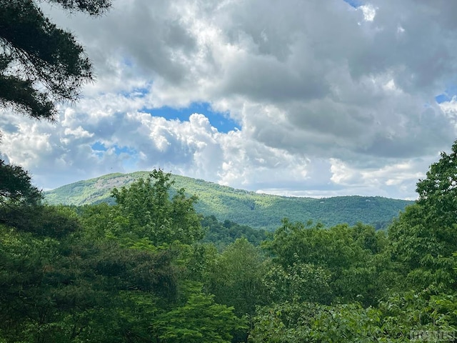 property view of mountains