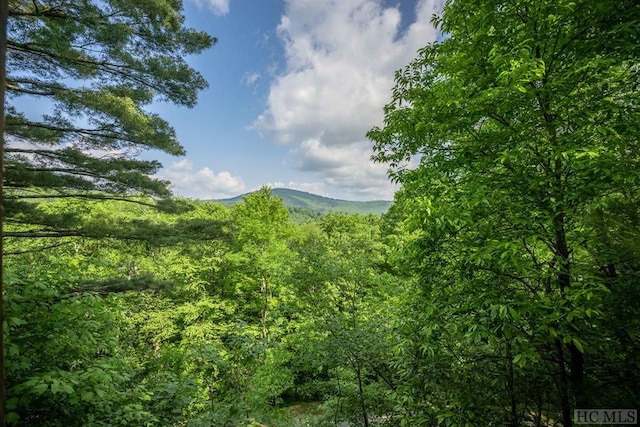 view of mountain feature