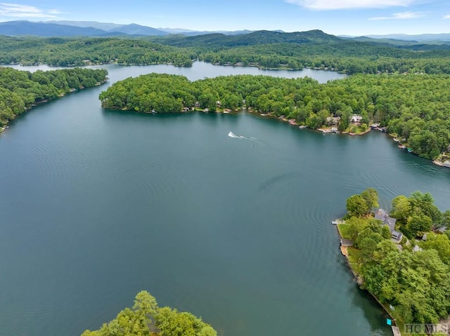 birds eye view of property featuring a water and mountain view