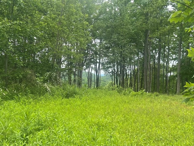 3 Nips Way, Cullowhee, NC 28723
