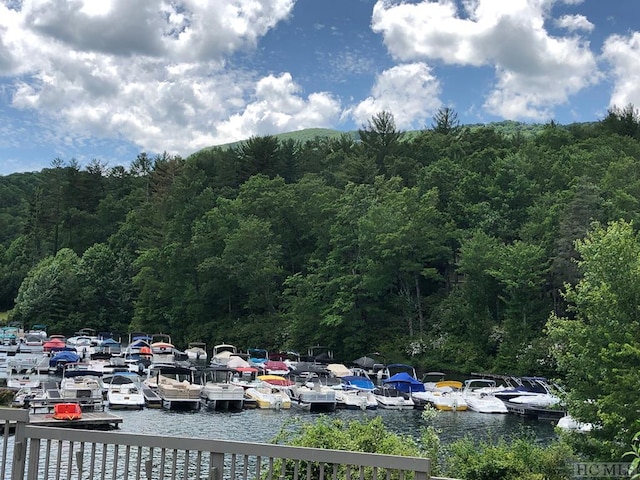 view of vehicle parking with a water view and a boat dock