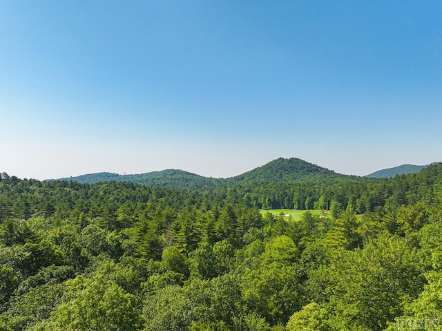 property view of mountains