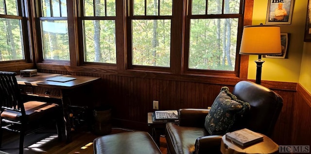 sunroom featuring plenty of natural light