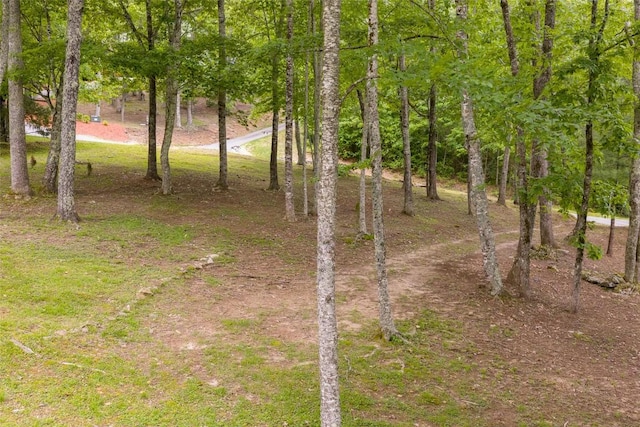 50 Bluestar Way, Glenville, NC 28736 - view of local wilderness