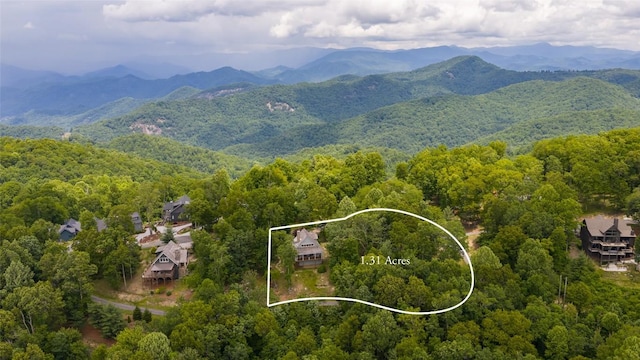 50 Bluestar Way, Glenville, NC 28736 - mountain view with a forest