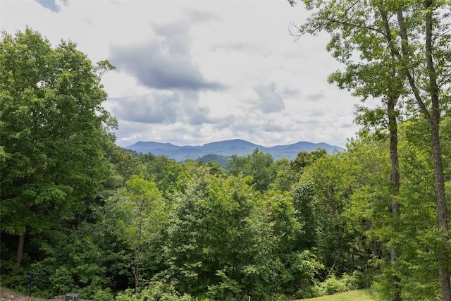 50 Bluestar Way, Glenville, NC 28736 - view of mountain background featuring a forest