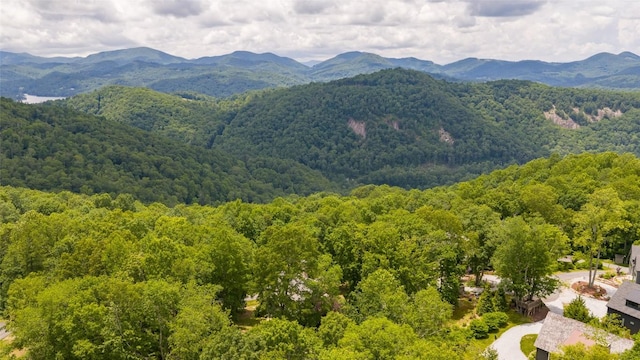 50 Bluestar Way, Glenville, NC 28736 - mountain view with a heavily wooded area