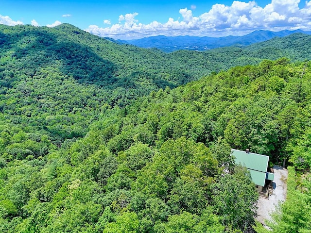 526 Grandaddy Still Rd, Scaly Mountain, NC 28775 - photo 79