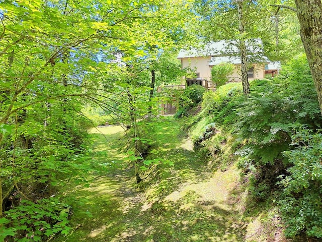 526 Grandaddy Still Rd, Scaly Mountain, NC 28775 - photo 85