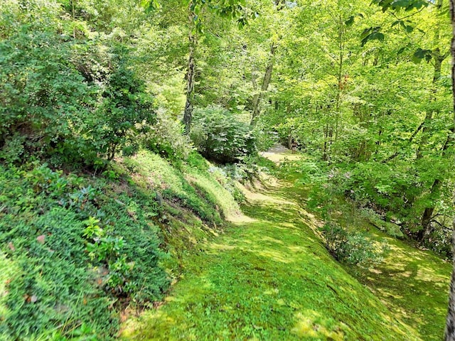 526 Grandaddy Still Rd, Scaly Mountain, NC 28775 - photo 83