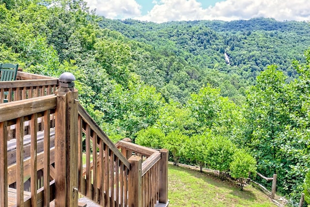 526 Grandaddy Still Rd, Scaly Mountain, NC 28775 - photo 66