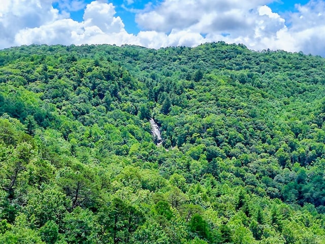 526 Grandaddy Still Rd, Scaly Mountain, NC 28775 - photo 77