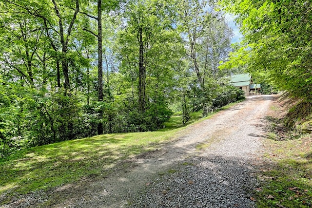 526 Grandaddy Still Rd, Scaly Mountain, NC 28775 - photo 5