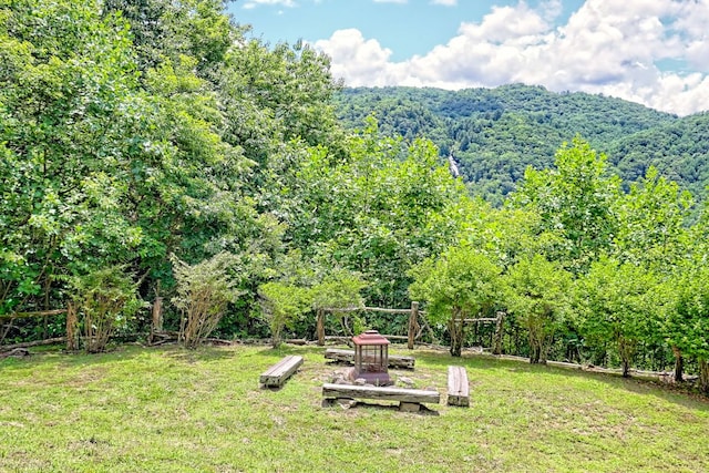 526 Grandaddy Still Rd, Scaly Mountain, NC 28775 - photo 64