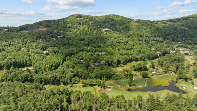 410C Highlands Cove Dr Unit 1300C, Highlands, NC 28741 - aerial view of property's location with a nearby body of water and a local golf course