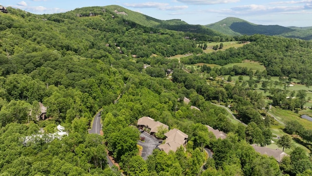 410C Highlands Cove Dr Unit 1300C, Highlands, NC 28741 - drone / aerial view of a forest and mountains