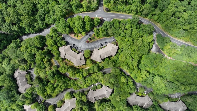 410C Highlands Cove Dr Unit 1300C, Highlands, NC 28741 - aerial view of property's location