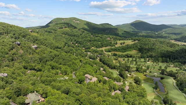 410C Highlands Cove Dr Unit 1300C, Highlands, NC 28741 - view of mountain background featuring a forest and a nearby body of water