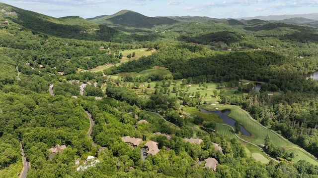 410C Highlands Cove Dr Unit 1300C, Highlands, NC 28741 - aerial overview of property's location featuring a heavily wooded area and a water and mountain view