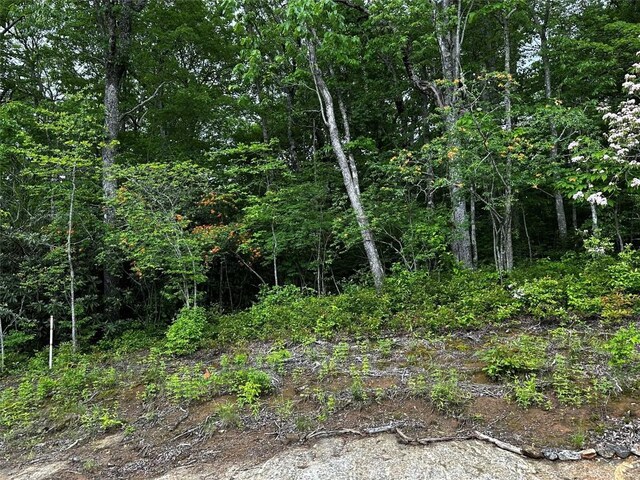 TBD Garden Trail, Highlands, NC 28741