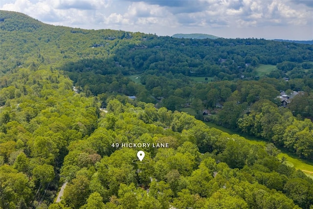 49 Hickory Ln, Highlands, NC 28741 - aerial view of a forest