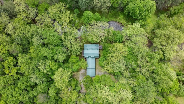 130 Sarah Cove Rd, Otto, NC 28763 - aerial view of property and surrounding area