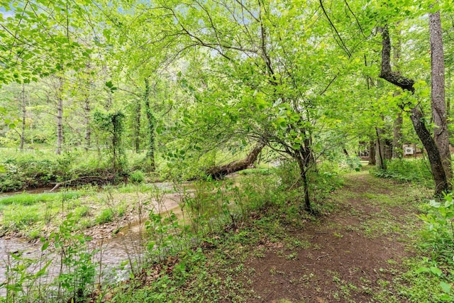 130 Sarah Cove Rd, Otto, NC 28763 - view of tree filled area