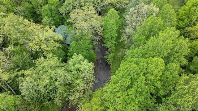 130 Sarah Cove Rd, Otto, NC 28763 - aerial view of a heavily wooded area