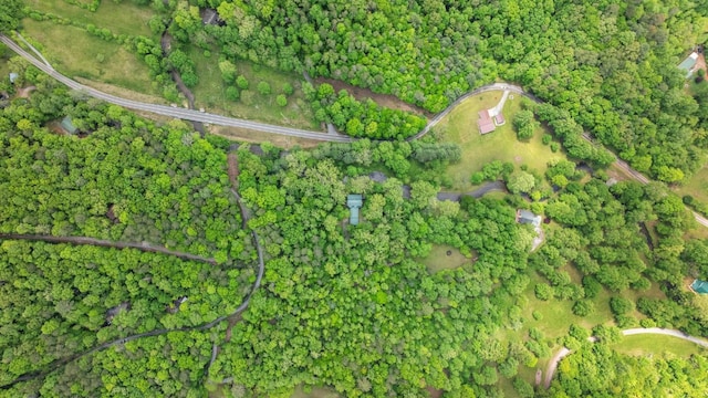 130 Sarah Cove Rd, Otto, NC 28763 - view of property location
