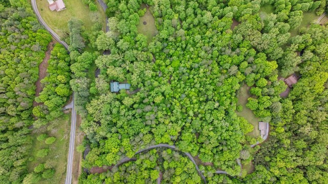 130 Sarah Cove Rd, Otto, NC 28763 - view of property location