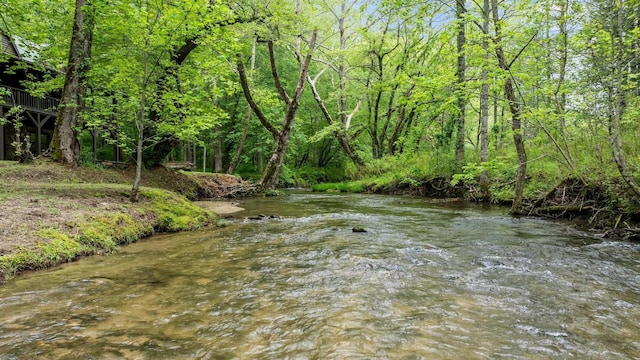 130 Sarah Cove Rd, Otto, NC 28763 - water view