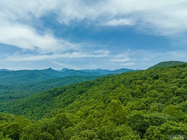 Listing photo 2 for LT10 Tiercel Trl, Sapphire NC 28774