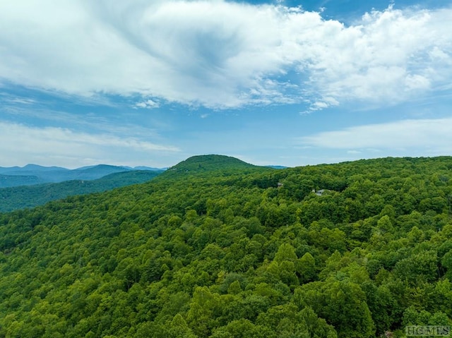 Listing photo 3 for LT10 Tiercel Trl, Sapphire NC 28774