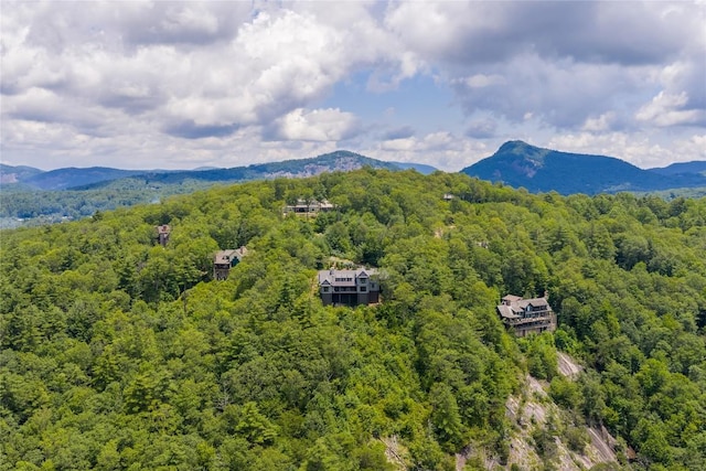 133 High Cliffs Rd, Cashiers, NC 28717 - photo 94