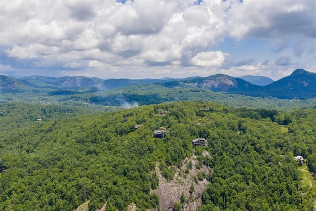 133 High Cliffs Rd, Cashiers, NC 28717 - photo 96