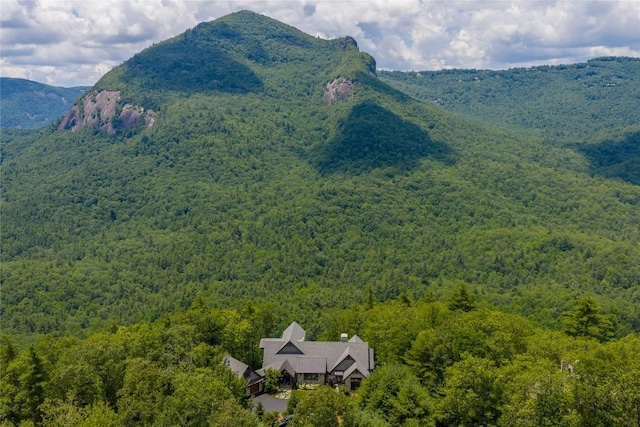 133 High Cliffs Rd, Cashiers, NC 28717 - photo 93