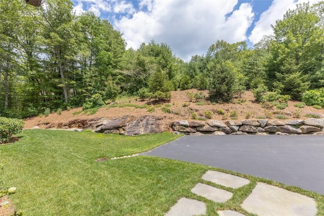 133 High Cliffs Rd, Cashiers, NC 28717 - photo 84