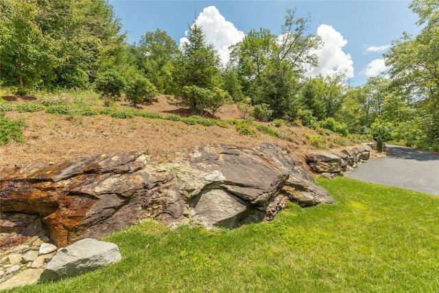 133 High Cliffs Rd, Cashiers, NC 28717 - photo 85