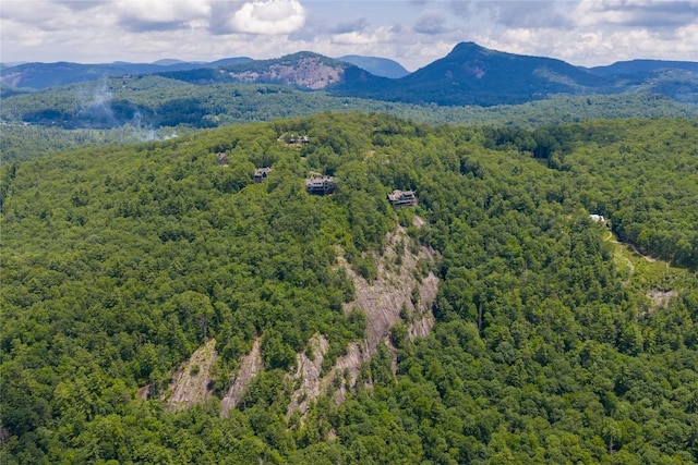 133 High Cliffs Rd, Cashiers, NC 28717 - photo 97