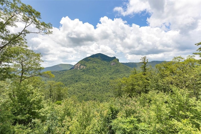 133 High Cliffs Rd, Cashiers, NC 28717 - photo 25