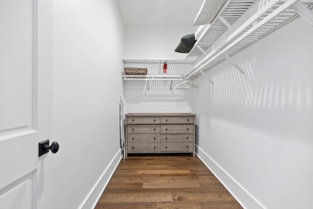 walk in closet featuring wood finished floors