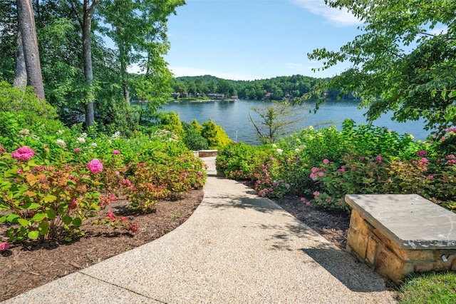4176 W Club Blvd, Lake Toxaway, NC 28747 - photo 41